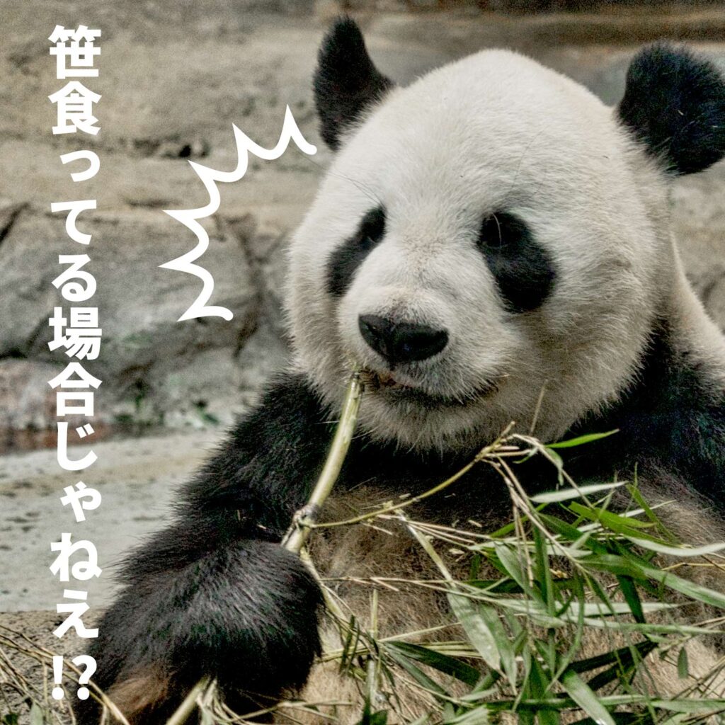 楽天GOLD廃止！新トップページへの移行で店舗運営・制作はどう変わるのか？